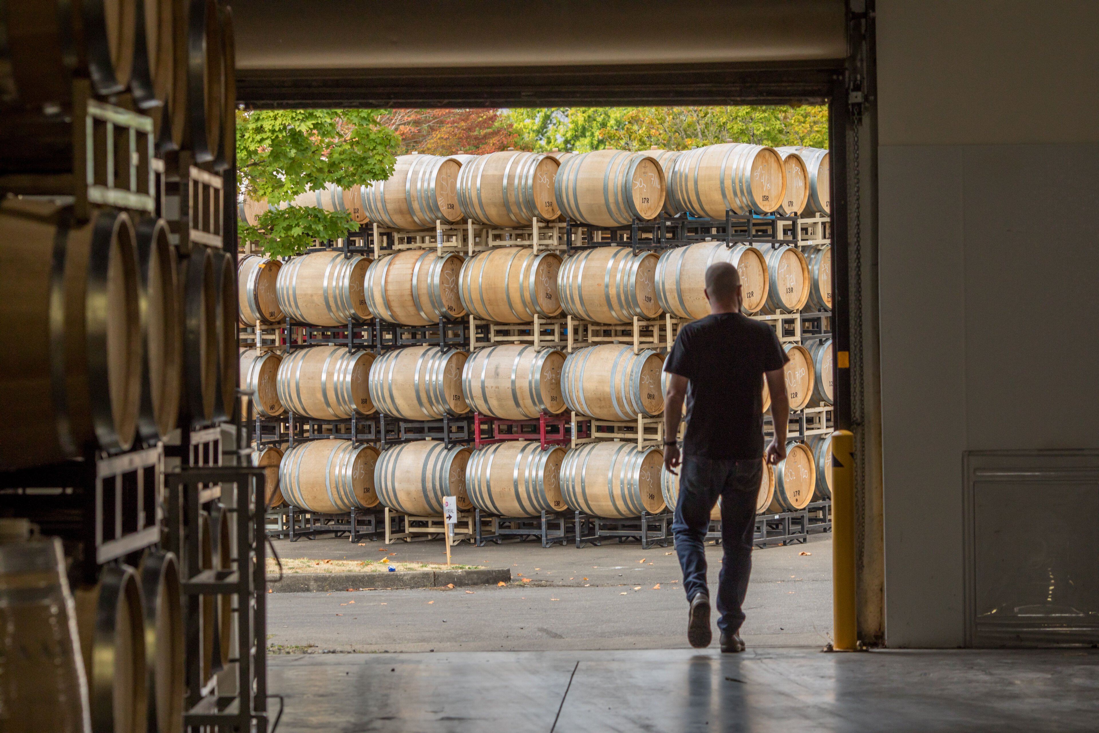 A person wearing jeans and a dark shirt, walks toward stacks of wooden barrels arranged on racks outside a winery building. The scene is framed by the building's open doorway. Trees with autumn foliage are visible in the background.