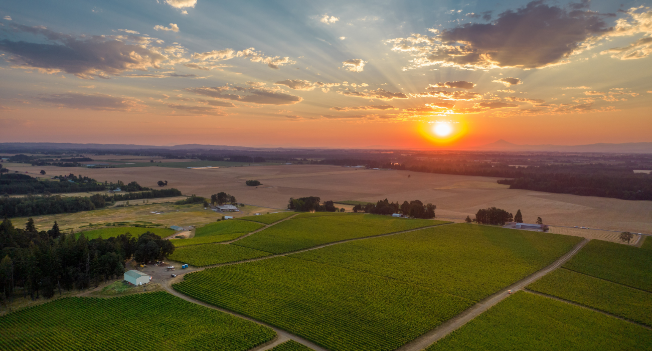 Lone Star Sunrise