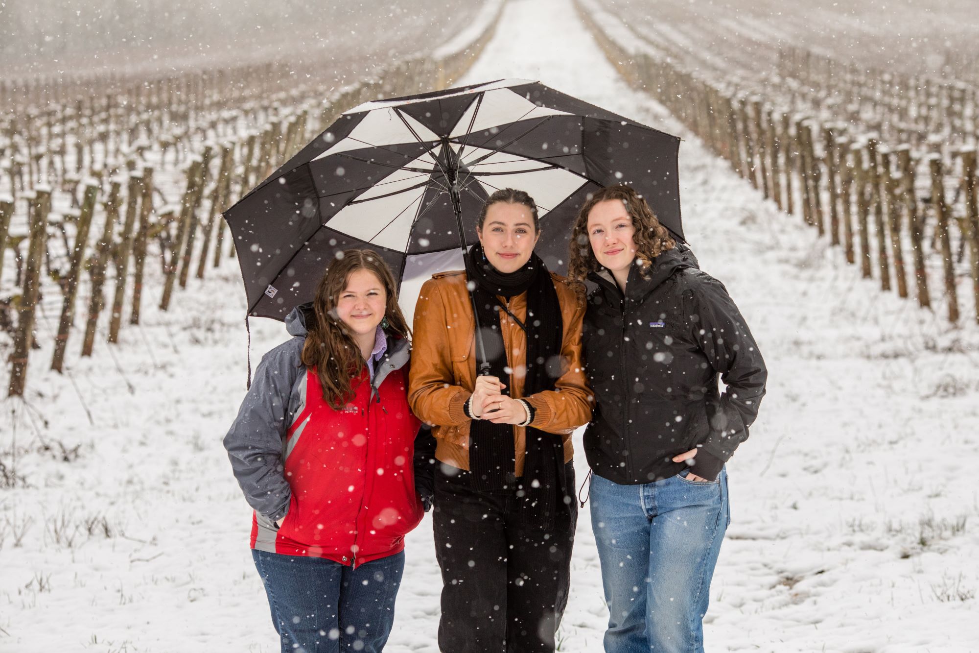 Three people standing under an umbrella in a snowy vineyard. They are dressed in winter clothing and standing close together. Snow is falling around them, and the vineyard rows extend into the distance.