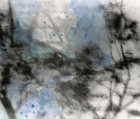 Abstract image featuring dark, blurred tree-like shapes over a light gray and blue watercolor background. The image has a dreamlike quality with soft splashes of blue and gray creating a sense of depth and texture.