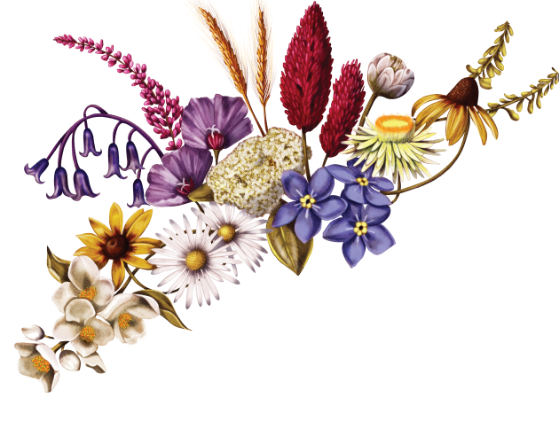 A diverse bouquet of flowers including purple, yellow, white, and pink blooms, with various petal shapes and sizes. The flowers are arranged creatively, with a mix of delicate stems and vibrant colors, creating a lush and artistic floral display.