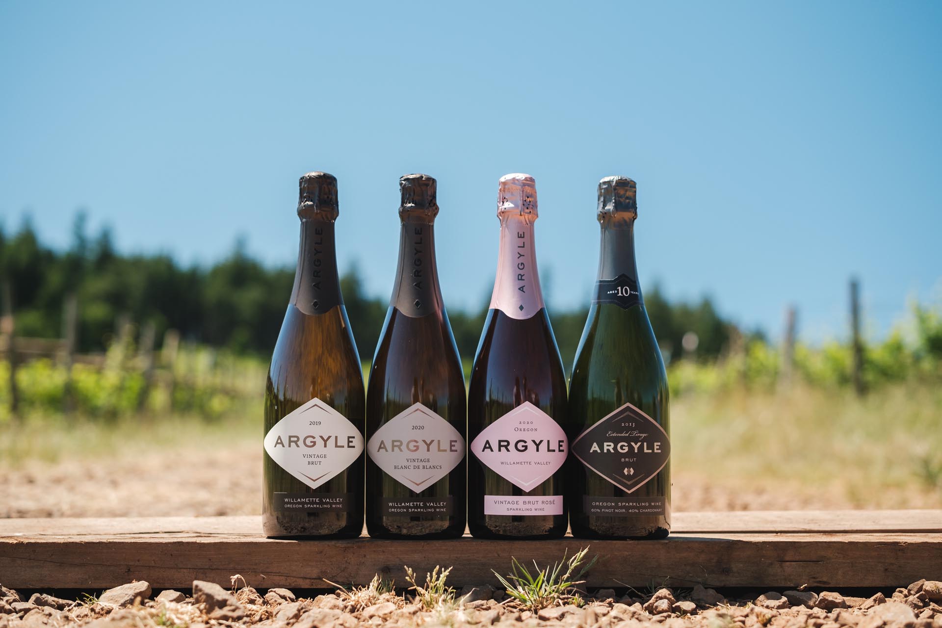 Four bottles of Argyle sparkling wine are displayed in a row on a wooden plank outdoors, with a vineyard and clear blue sky in the background. The bottles feature different labels, with varying designs and colors.