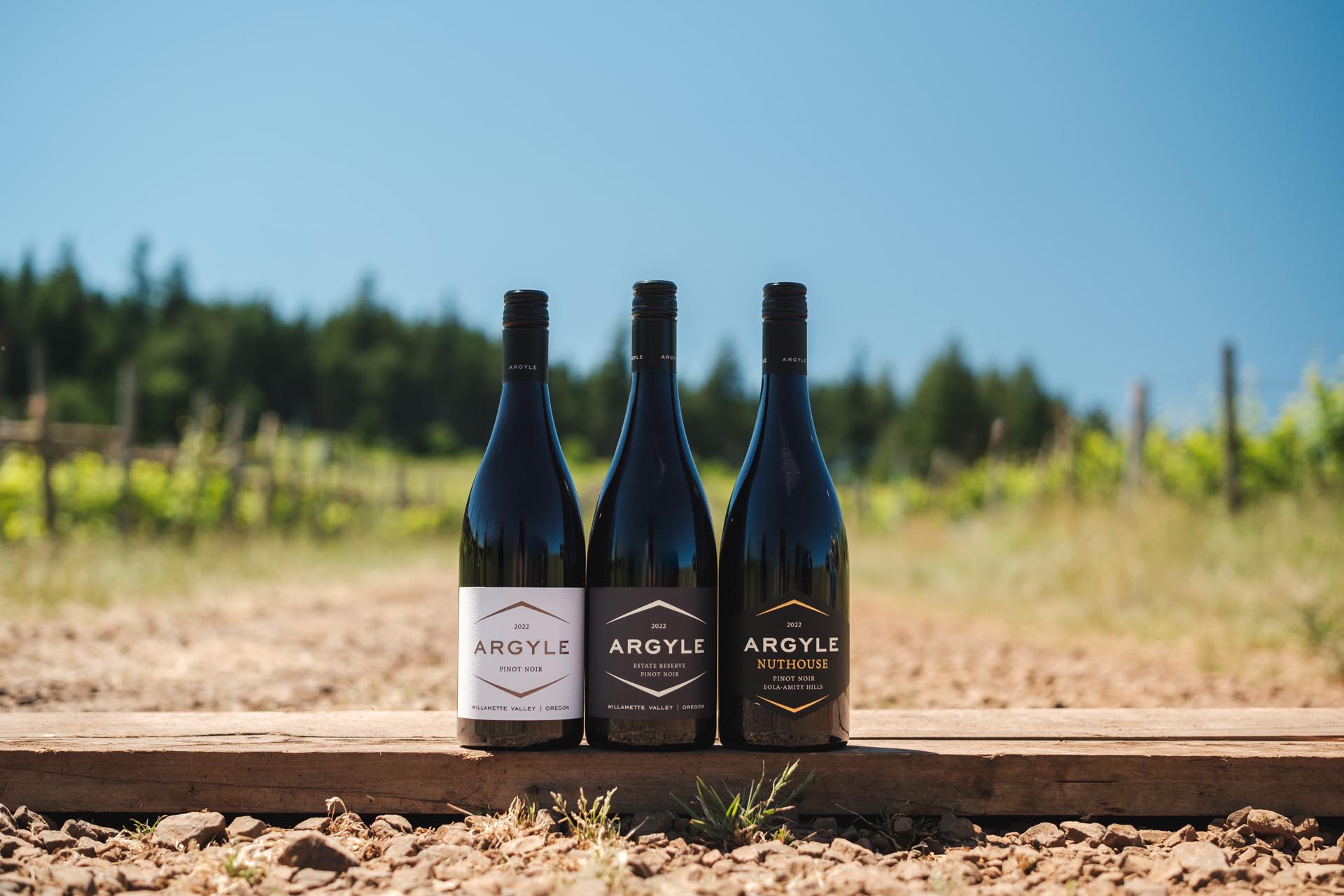 Three bottles of Argyle wine are displayed in a row on a wooden plank outdoors, with a vineyard and blue sky in the background. The bottles feature different labels: Argyle Pinot Noir, Argyle Reserve Pinot Noir, and Argyle Nuthouse Pinot Noir.