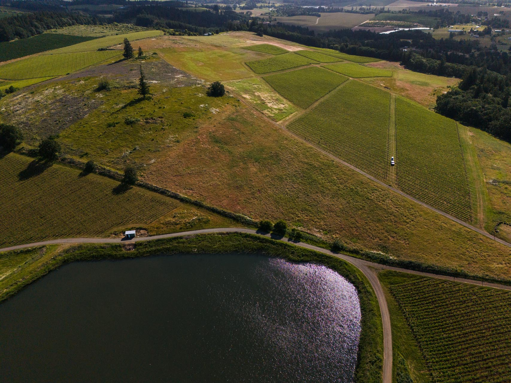 Aerial view of a hilly landscape with green fields and a small lake at the bottom. A few cars are visible on the roads winding through the fields, near Argyle Winery. The area is surrounded by trees and dense forests in the distance, under a partly cloudy sky.